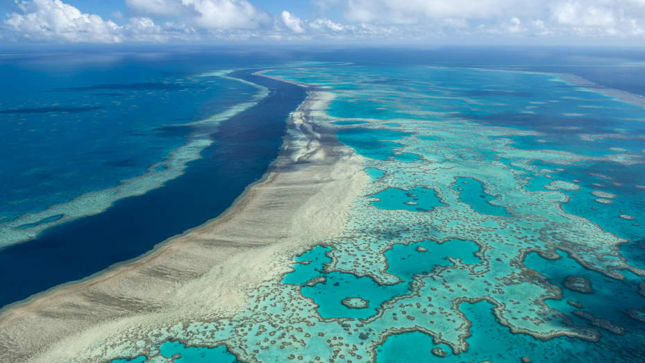 Book an all-inclusive cruise of the Great Barrier Reef with a trusted travel agency. Enjoy an unforgettable experience as you witness the breathtaking aerial view of this natural wonder. by Chasing the Sun Vacations